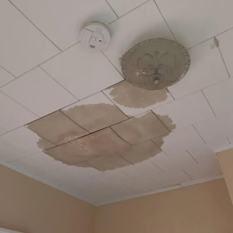 Ceiling Water Damage Repair in Oak Harbor, OH