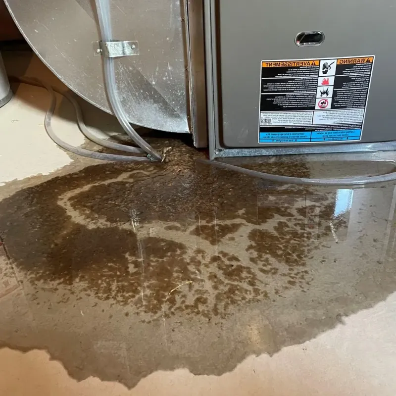 Pipe Burst and Leak Restoration in Oak Harbor, OH