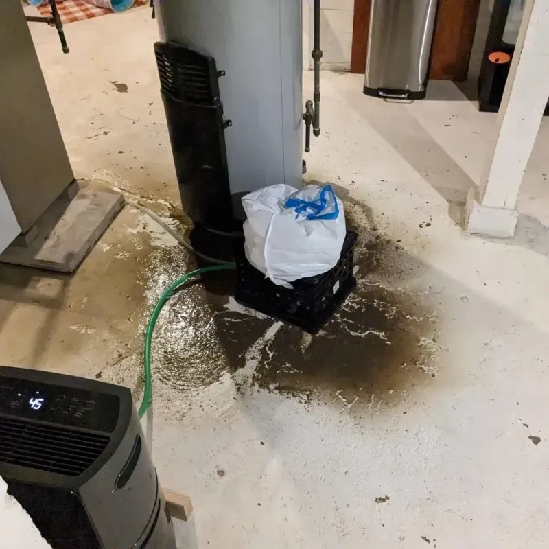 Sewage Backup Cleanup Service in Oak Harbor, OH